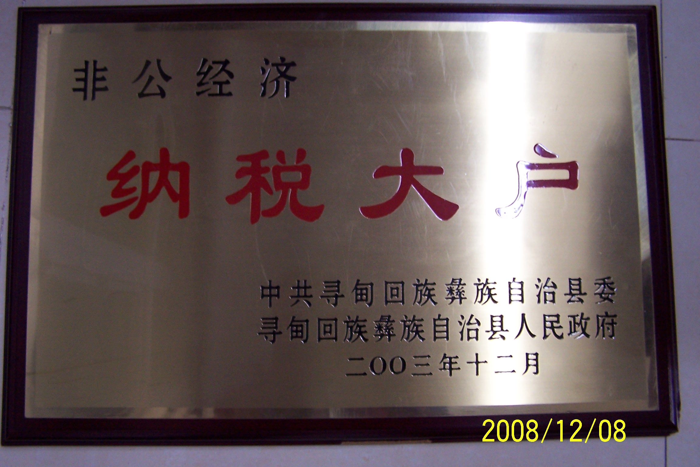 2003年纳税大户