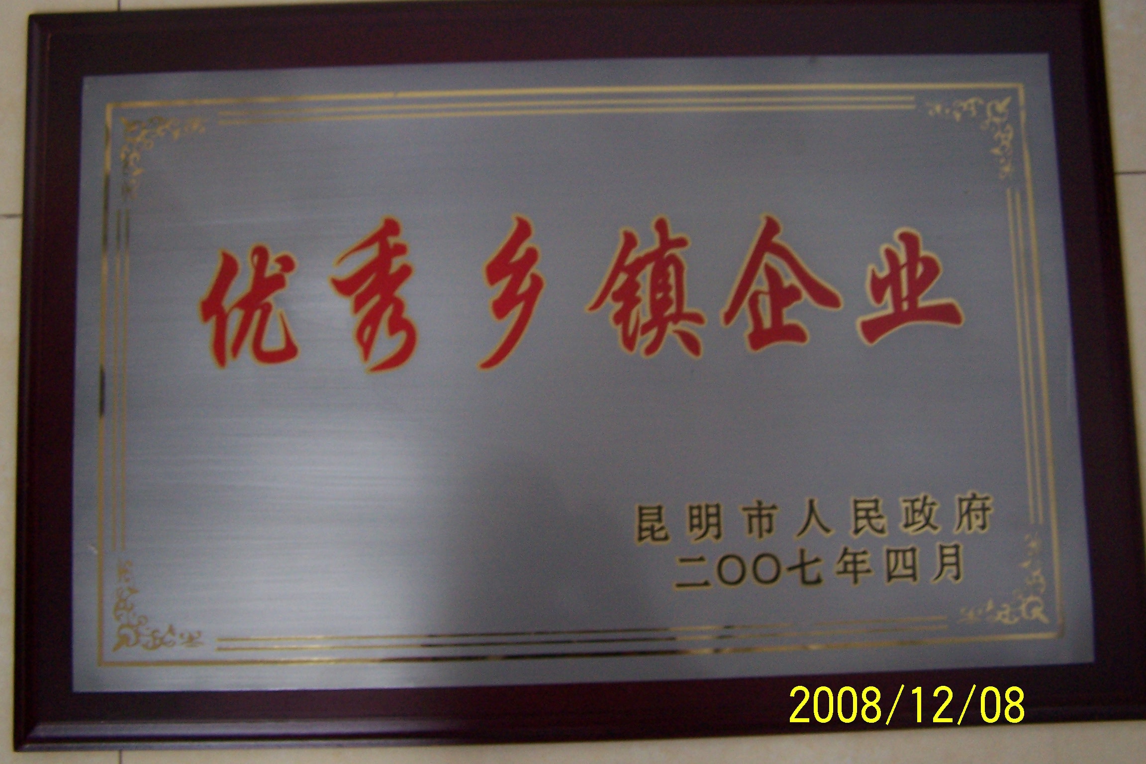 2007年优秀乡镇企业